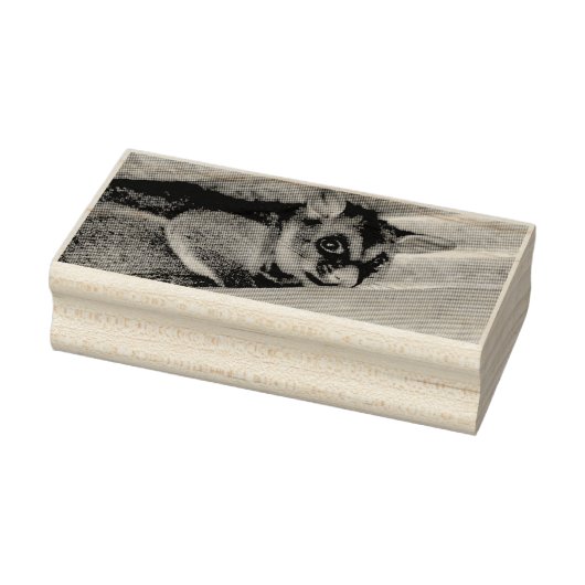 POSSUM QUEENSLAND AUSTRALIË RUBBERSTEMPEL (Stempel)