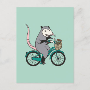Possum Riding a Bicycle Briefkaart