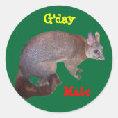 Possum Ronde Sticker (Voorkant)
