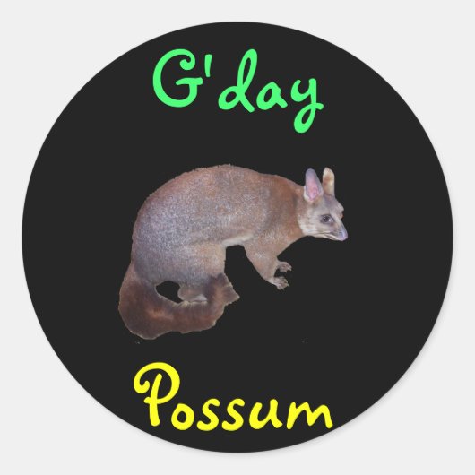 Possum Ronde Sticker (Voorkant)