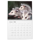 Possum Smile Kalender (Jan 2026)
