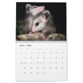 Possum Smile Kalender (Mar 2027)