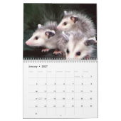 Possum Smile Kalender (Jan 2027)