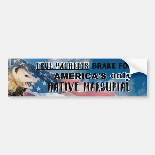 Possum Sticker - Amerika's enige inheemse buideldi (Voorkant)