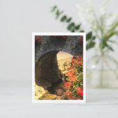 POST CARD Alligator Briefkaart (Staand voorkant)