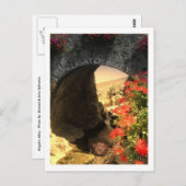 POST CARD Alligator Briefkaart (Voorkant / Achterkant)