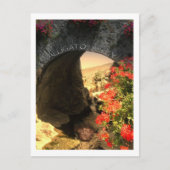 POST CARD Alligator Briefkaart (Voorkant)