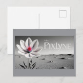 Post Card (andrew) Briefkaart (Voorkant / Achterkant)