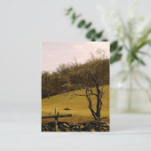 POST CARD Appalachian Trail Briefkaart (Staand voorkant)