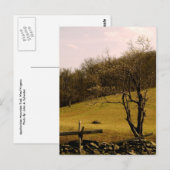 POST CARD Appalachian Trail Briefkaart (Voorkant / Achterkant)