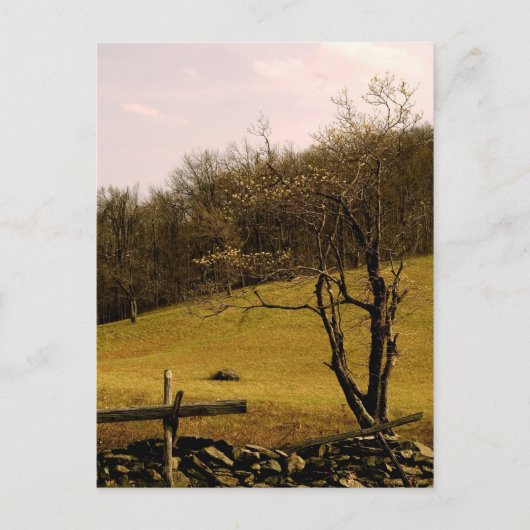 POST CARD Appalachian Trail Briefkaart (Voorkant)