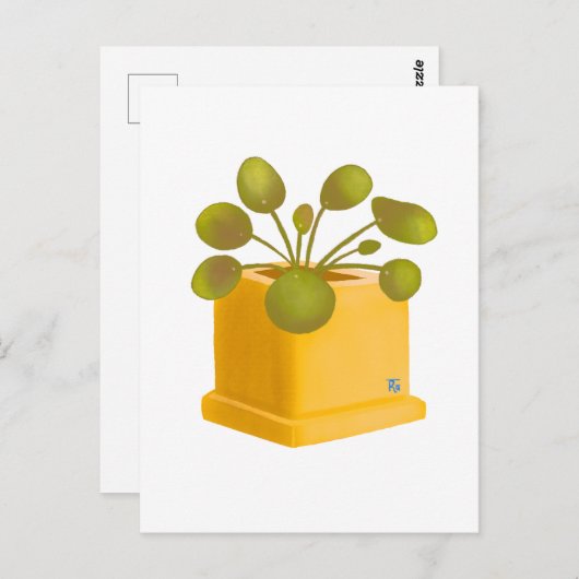 Post card briefkaart (Voorkant / Achterkant)