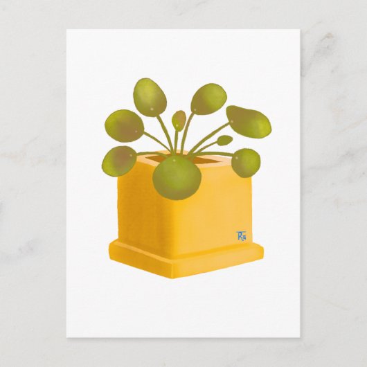 Post card briefkaart (Voorkant)