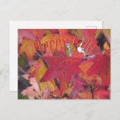 Post Card - Fall Leaves Briefkaart (Voorkant / Achterkant)