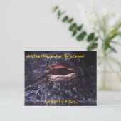 Post Card Greetings From Cape Fear, North Carol. Briefkaart (Staand voorkant)