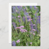 Post card  kaart (Voorkant / Achterkant)