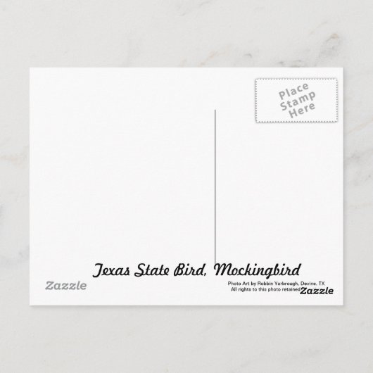 Post Card of Texas State Bird: Mockingbird Briefkaart (Achterkant)