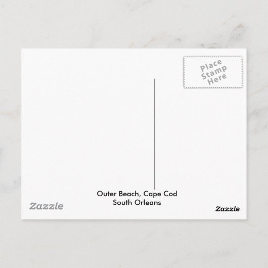 Post Card: Outer Beach on the Cape Briefkaart (Achterkant)