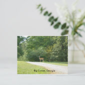 Post Card van Big Canoe, Georgia Briefkaart (Staand voorkant)