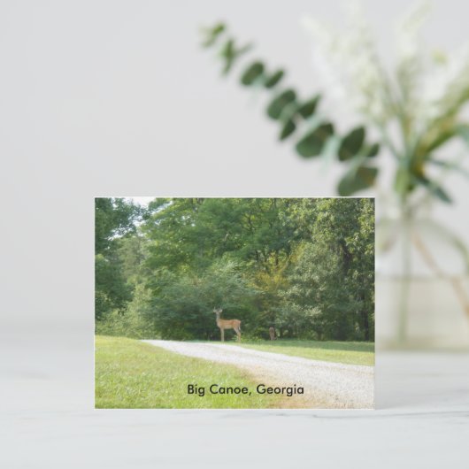 Post Card van Big Canoe, Georgia Briefkaart (Staand voorkant)