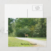 Post Card van Big Canoe, Georgia Briefkaart (Voorkant / Achterkant)