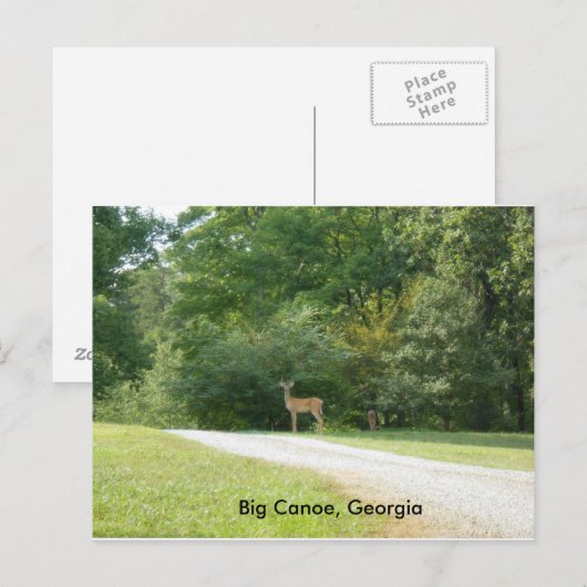 Post Card van Big Canoe, Georgia Briefkaart (Voorkant / Achterkant)