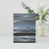 Post Cards Graphic Designs symbolisch Briefkaart (Staand voorkant)