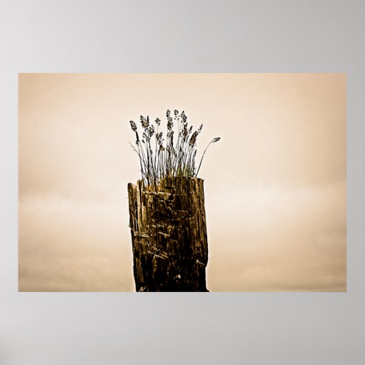 Post Grass Poster (Voorkant)