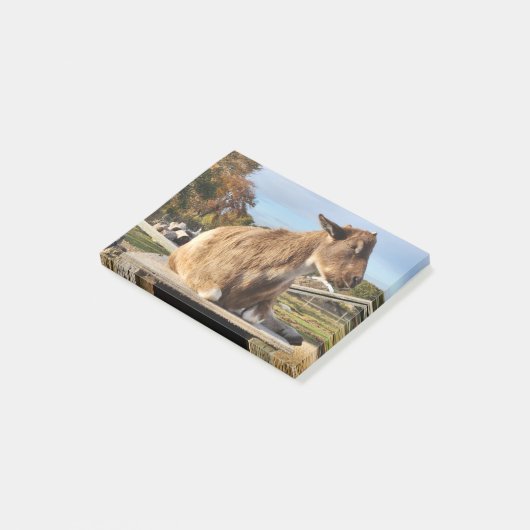 Post-it merkt op "Geitje" Post-it® Notes (Schuin)