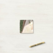 Post-it Notes  (Op bureau)