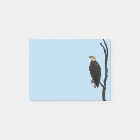 Post it notes Eagle (Voorkant)