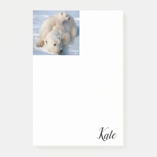 Post-it Notes IJsbeer (Voorkant)