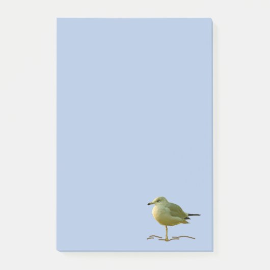 Post-it Opmerking - Seagull Calm Post-it® Notes (Voorkant)