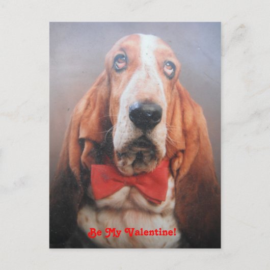 Post Kaart Basset Hound in Red Bow Stropdas, Be My (Voorkant)