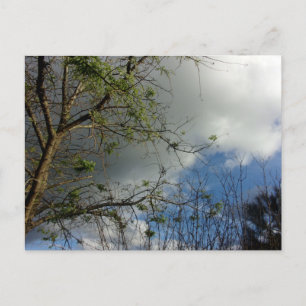 Post kaart Cool Eco Scene Design