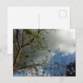 Post kaart Cool Eco Scene Design (Voorkant / Achterkant)