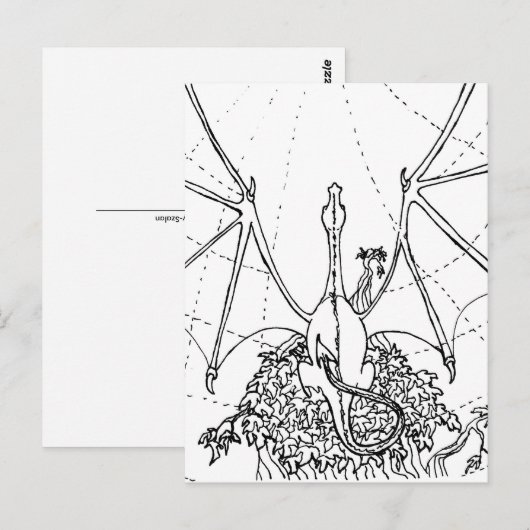 Post Kaart - Drakenvleugels (Voorkant / Achterkant)