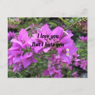 Post-kaart, formaat: standaard Briefkaart, papier: Briefkaart