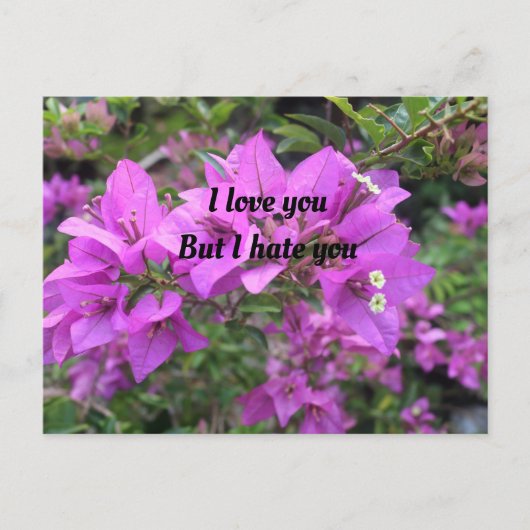 Post-kaart, formaat: standaard Briefkaart, papier: Briefkaart (Voorkant)