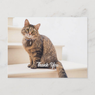 Post-kaart, formaat: standaard Briefkaart, papier: Briefkaart