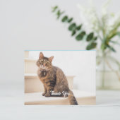 Post-kaart, formaat: standaard Briefkaart, papier: Briefkaart (Staand voorkant)