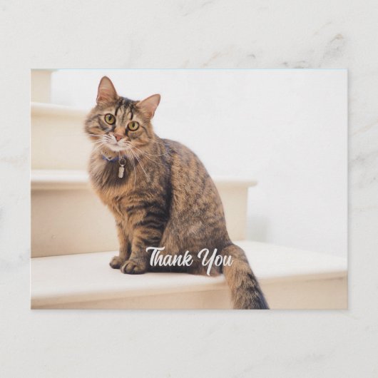 Post-kaart, formaat: standaard Briefkaart, papier: Briefkaart (Voorkant)