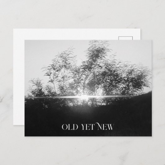 POST KAART KUNST EN DESIGN (Voorkant / Achterkant)