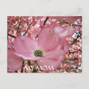 POST-KAART Mijn mama Sweetest Life DOGWOOD FLOWERS Briefkaart