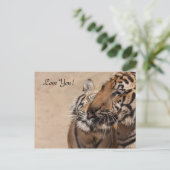 Post Kaart - Tijgers - Tiger Temple Thailand (Staand voorkant)