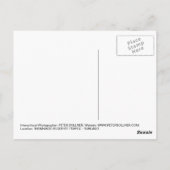 Post Kaart - Tijgers - Tiger Temple Thailand (Achterkant)