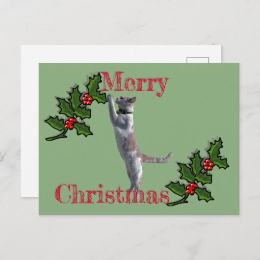 Post Kaart - Vrolijk kerstfeest Holly en Cat (Voorkant / Achterkant)