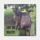 Post Kat Magneet (Voorkant)