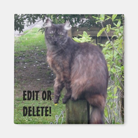 Post Kat Magneet (Voorkant)