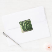 Post. Leuke topiary tuin uitgeknipte groene struik Vierkante Sticker (Envelop)